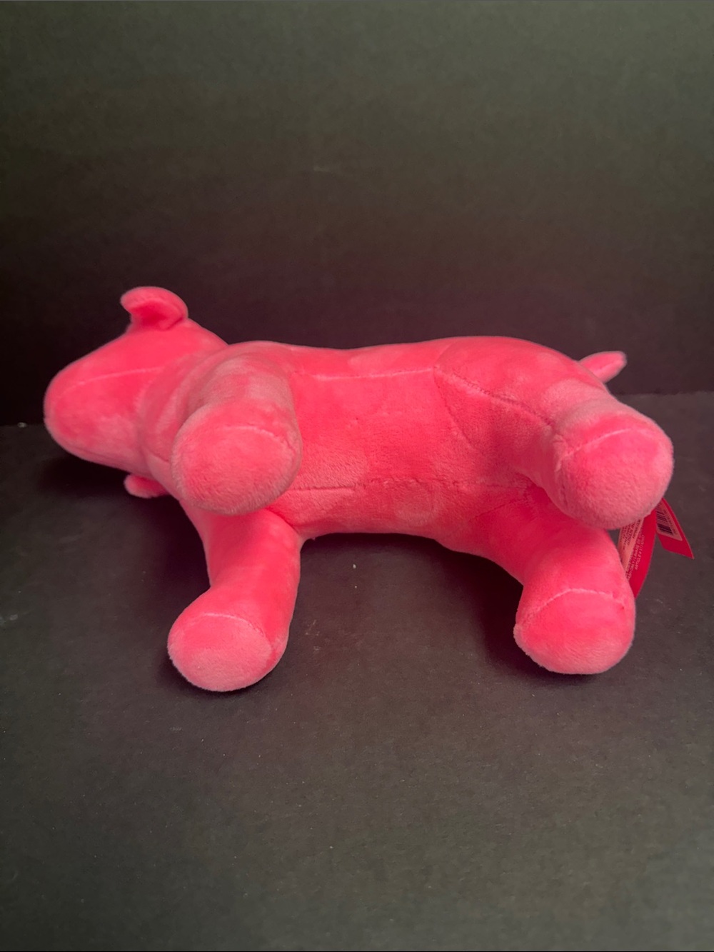Pink Nation Dog - Picture 3 of 5